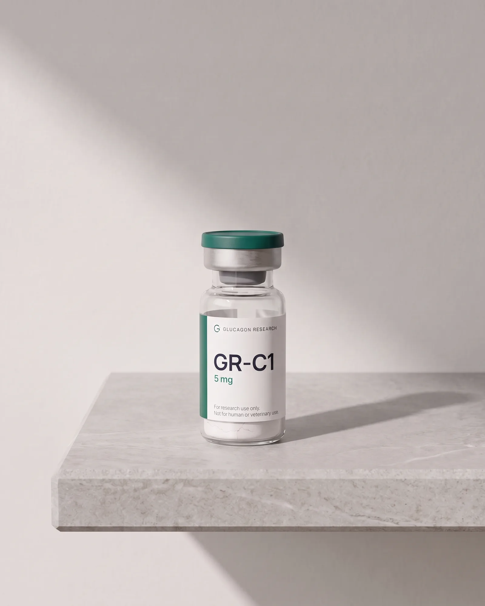 GR-C1 standing on a stone slab