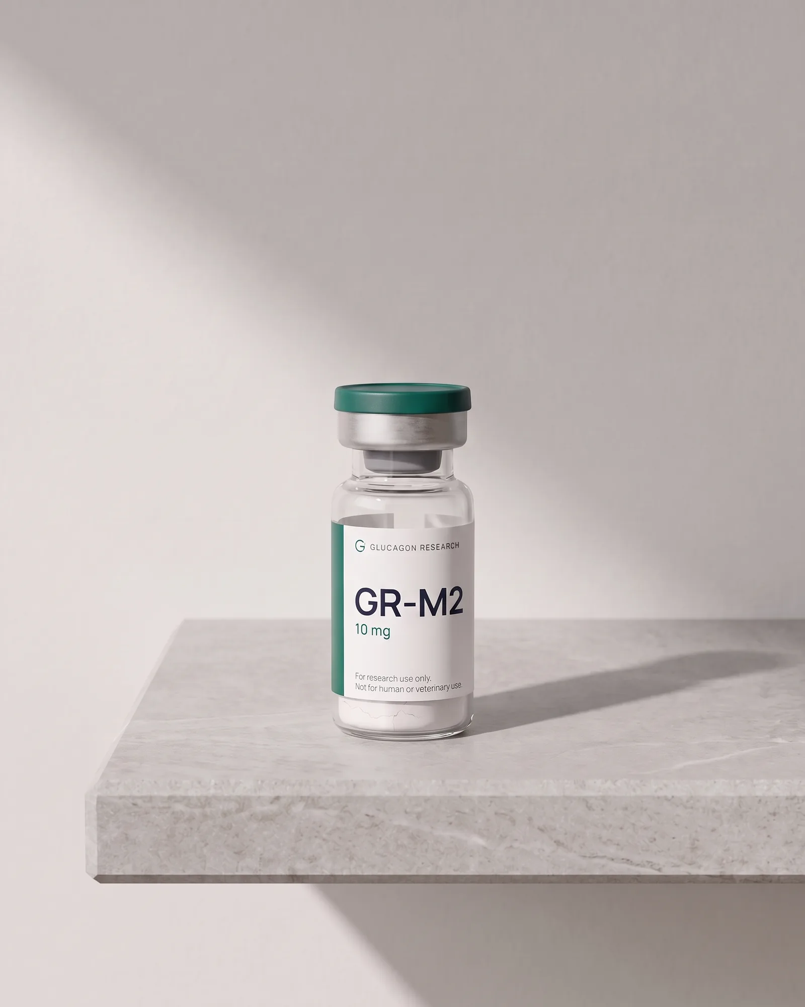 GR-M2 standing on a stone slab