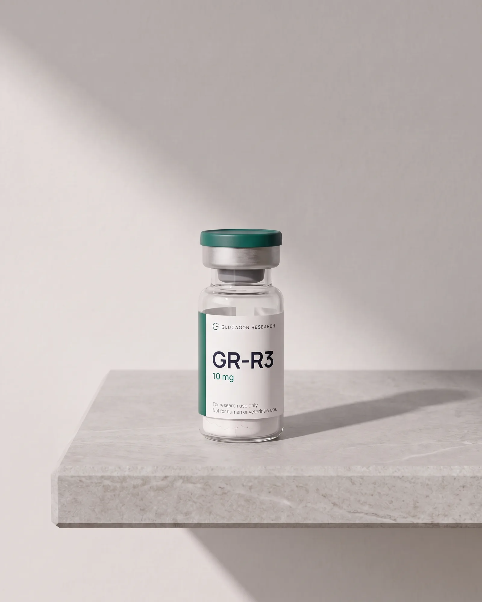 GR-R3 standing on a stone slab
