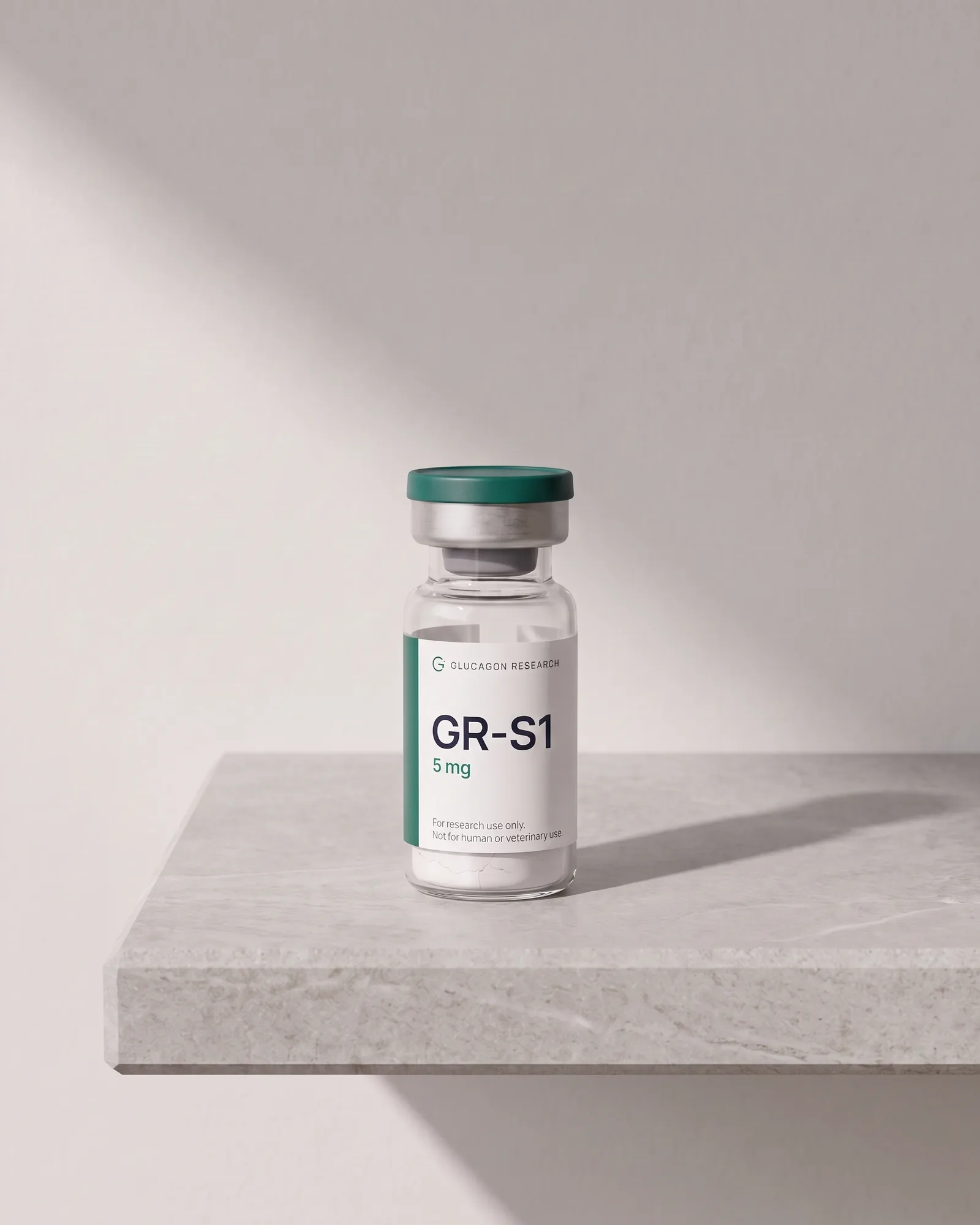 GR-S1 standing on a stone slab