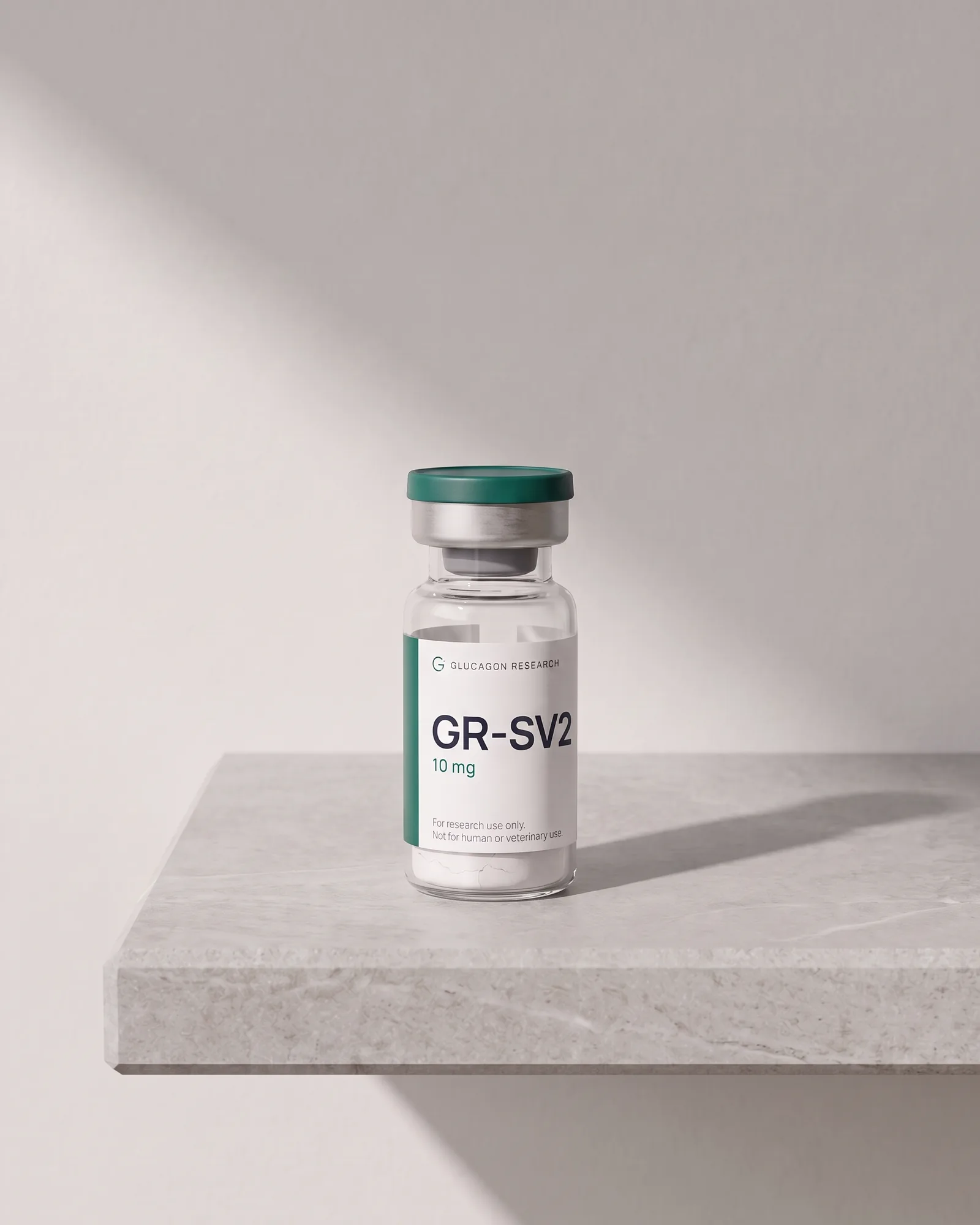 GR-SV2 standing on a stone slab