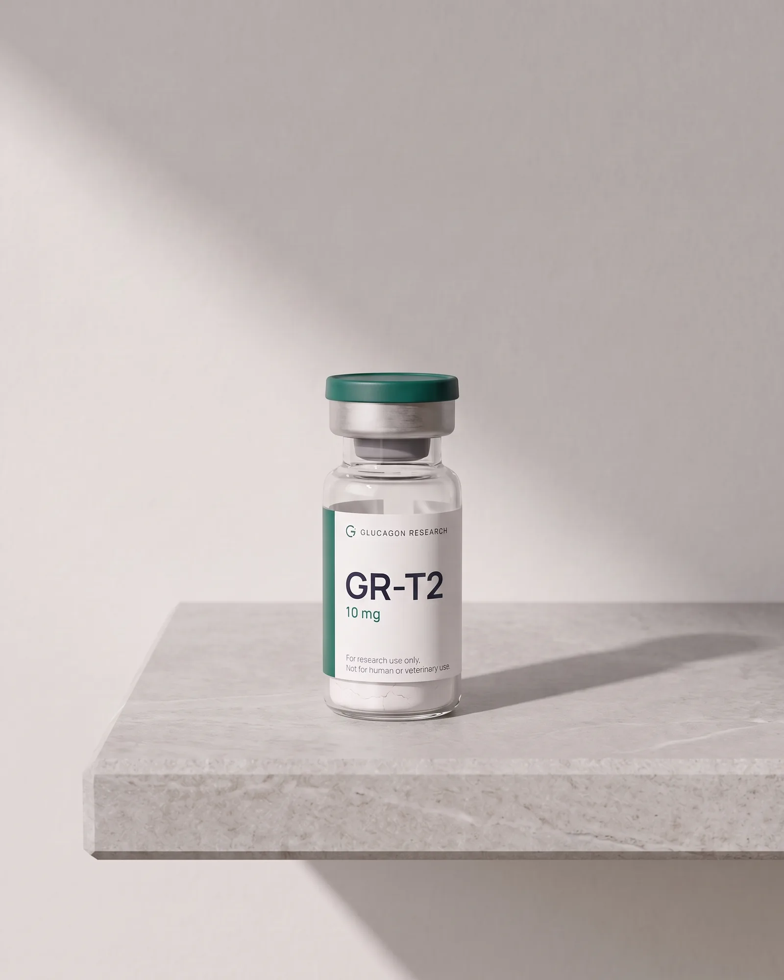 GR-T2 standing on a stone slab